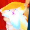 kimiko2073
