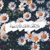 rana.elsayed293