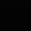 sronx8