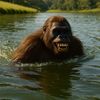 sasquatch723