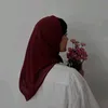 dz_gv13