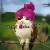 el_noobsito._.roblox