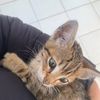 nour_14230