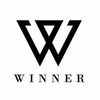 winnerace111
