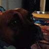 dominic.smith077