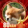 concuacocaicang_713