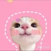 giahuycute997