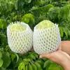Tuệ Mẫn