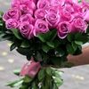 user33015071331341