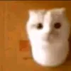 noirchaos69