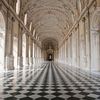 turin3605