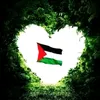 user2525531991454