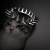 willow_zx0