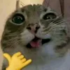 gofuckyourself915