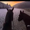 alfie_538