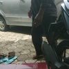 semut_merah.7