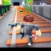 xen_053