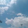 hodi_679
