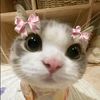 user23521908417176