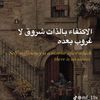 nadamohammed3630