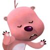 renooo_v5