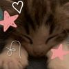 piper.boyer5