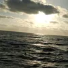 marwa12386552