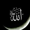 yaallah3521