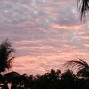vinn_0420