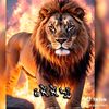 ustad_mirza888