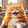 Chubby Feast