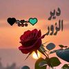 user81561792485670