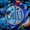 user2352106281856