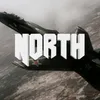 northediting
