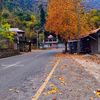shahg25806