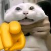 el_jabbar0
