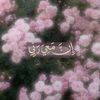 user151878728716