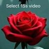 aligm364