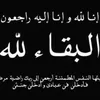 user8188215918521