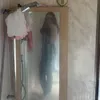 siennasother.acc