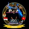 bgpiki11