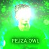 fejza.owl.sigma