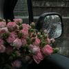 jjxv_io8