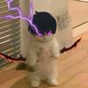 elpedron4
