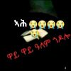 temesgen.aamlak2