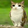 n40m1_1sth4ty0u