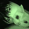 lf.bruno_