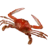 mynameiscornball