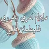 user756268017439