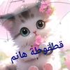 rysamsayed.com6